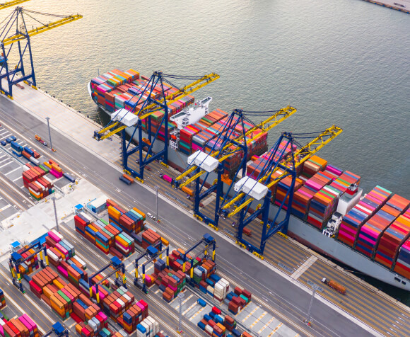 Why Choose Sripadvallabh Exims Pvt Ltd